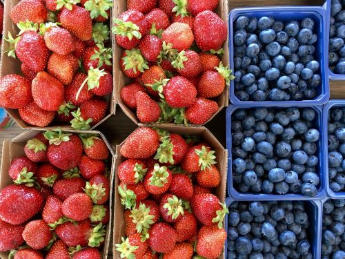 berries blueberries fruits