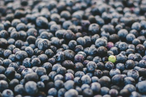 berries blueberries food