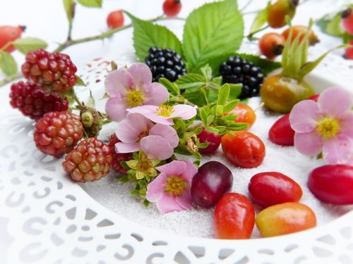 berries frisch fruits