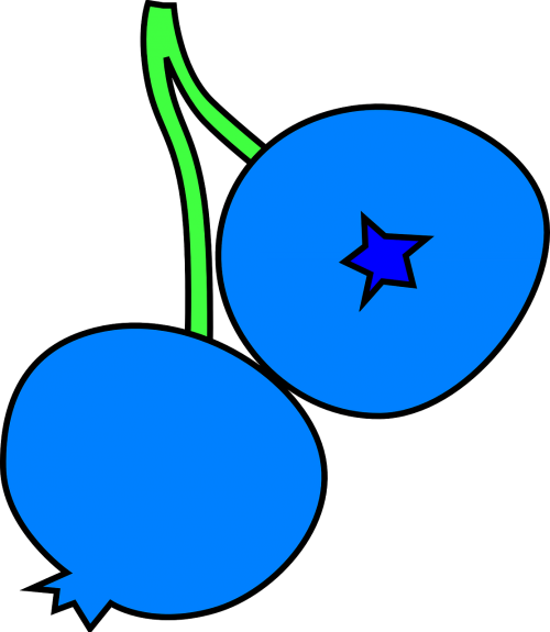 berries blue two