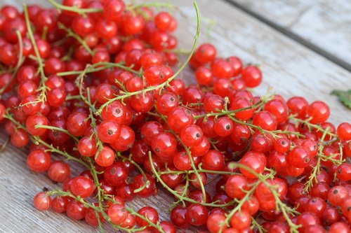 berries  fruit  food