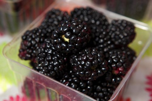 berries blackberries healthy