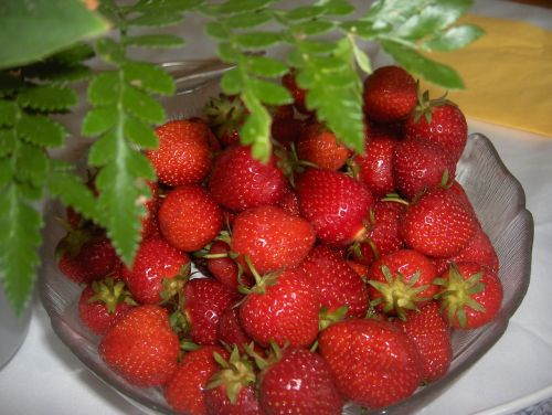 berries strawberries healthy