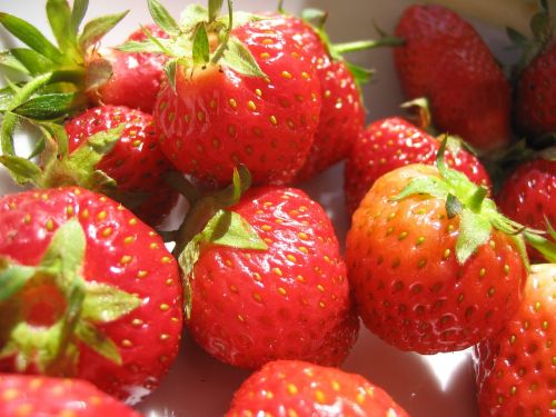 berries strawberries macro
