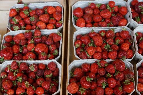 berries eat market