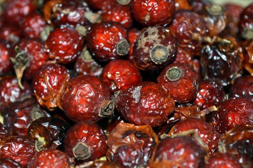 berry natural medicine organic