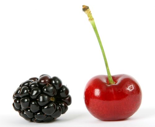 berry black blackberry