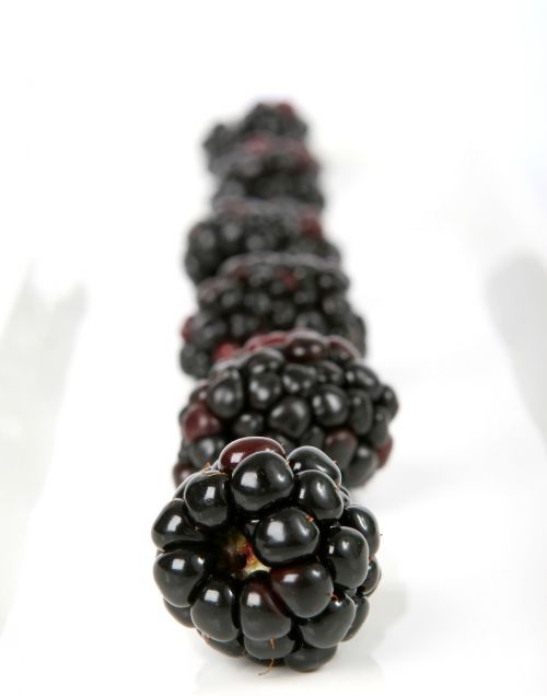 berry black blackberry