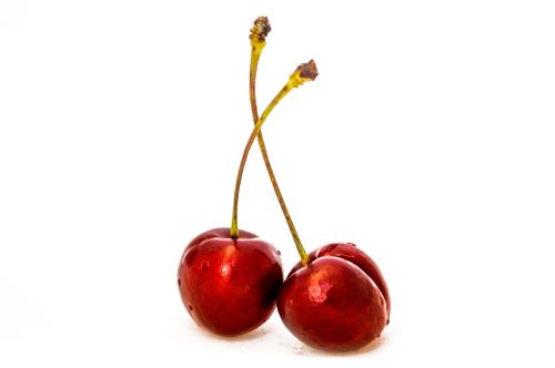 berry cherries cherry