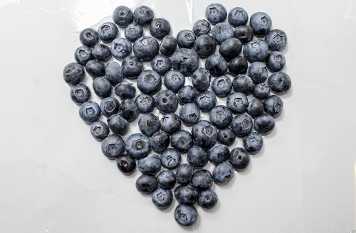 berry  blueberry  food