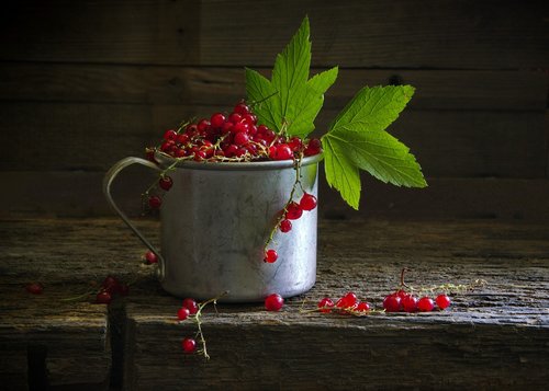 berry  currant  red