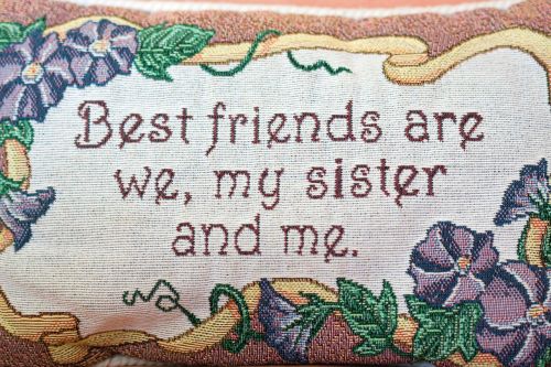 Best Friends Embroidered Pillow