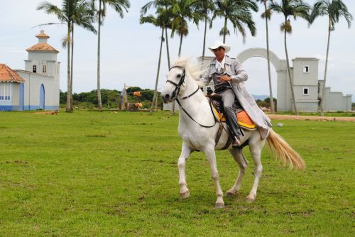 beto carrero knight horse