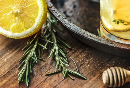 beverage  citrus  closeup