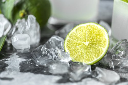 beverage  citrus  closeup