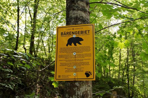 beware of the bear warning warning signs