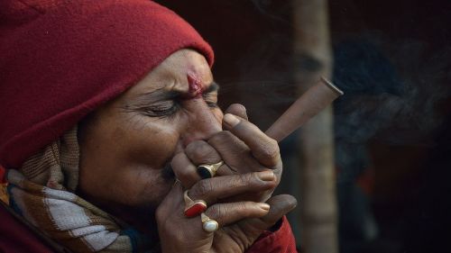 bhang marijuana india