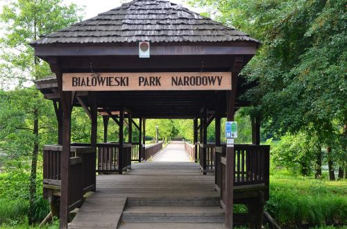białowieża the national park entrance