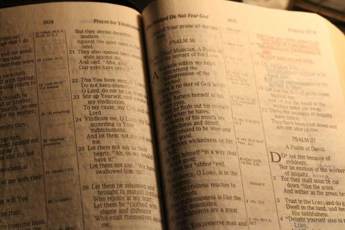 bible holy book study