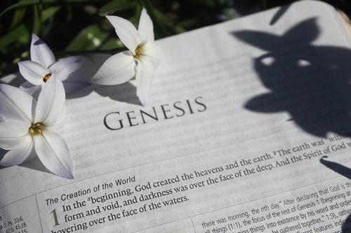 bible  creation  genesis