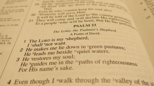 bible scripture psalm
