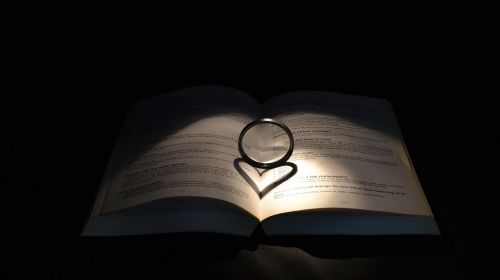 bible ring book