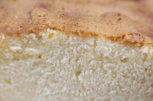 bica trives sponge cake craftsman