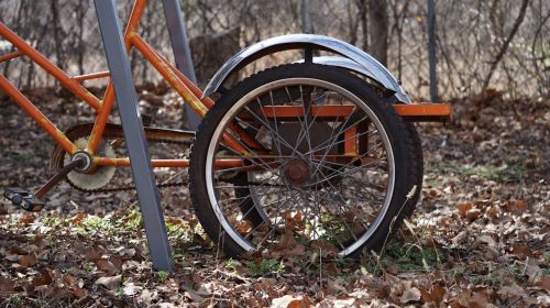 bicycle wheel old