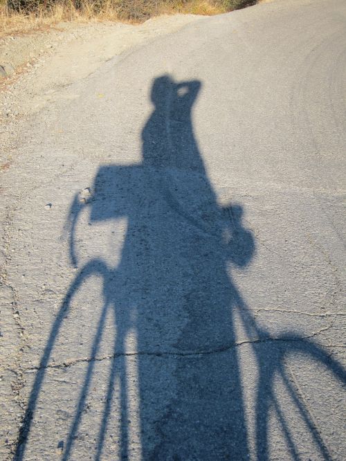 bicycle shadow projection