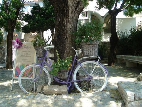 bicycle flowers vintage