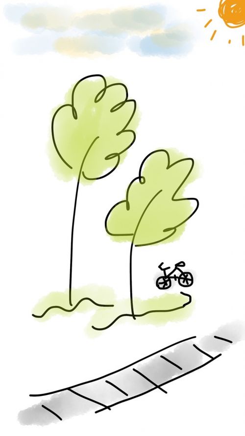 bicycle tree outdoor