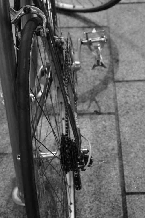 bicycle string wheel