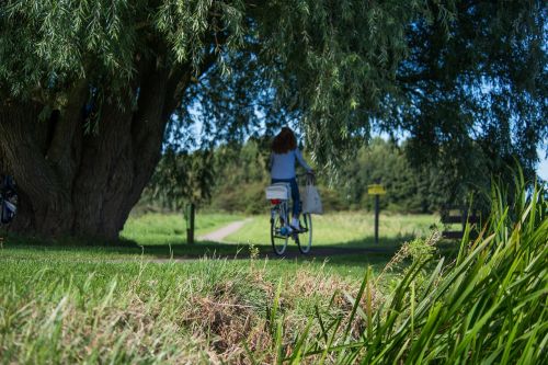 bicycle woman park