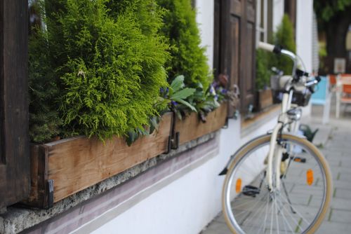 bicycle plant europe