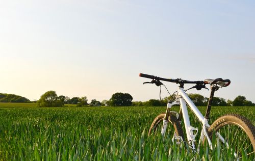 bicycle bike countryside