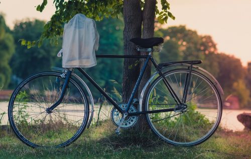 bicycle bike grass