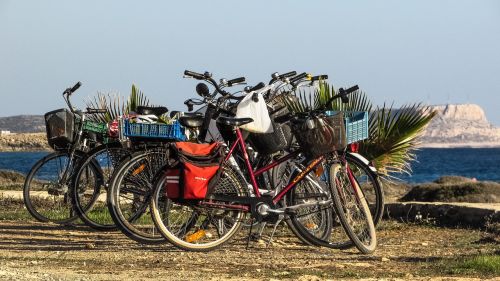 bicycle excursion leisure