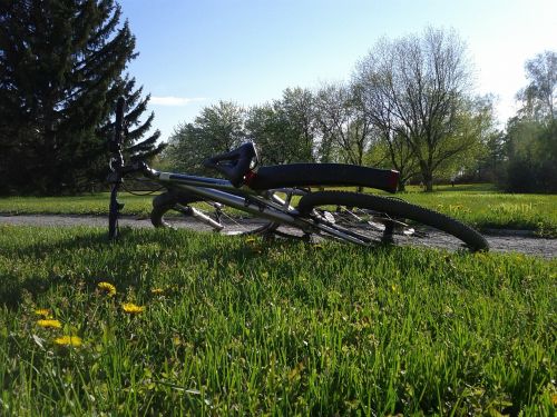 bicycle bike lawn