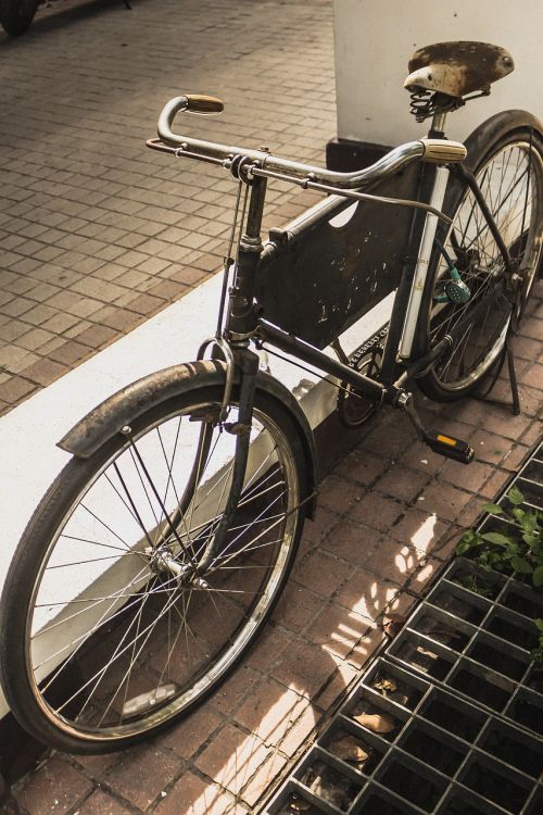 bicycle vintage classic