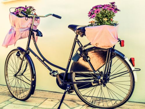 bicycle flowers basket