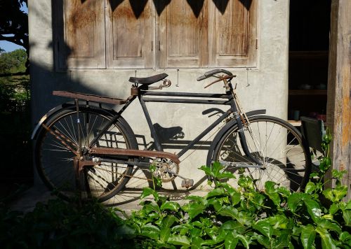 bicycle old vintage