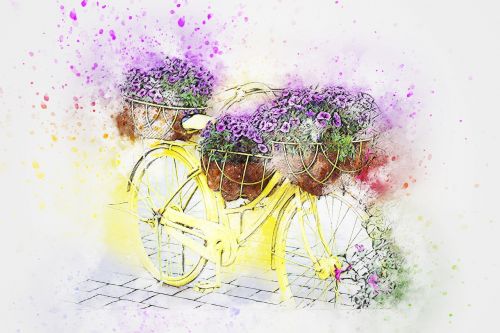 bicycle flowers art