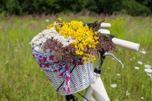 bicycle summer basket