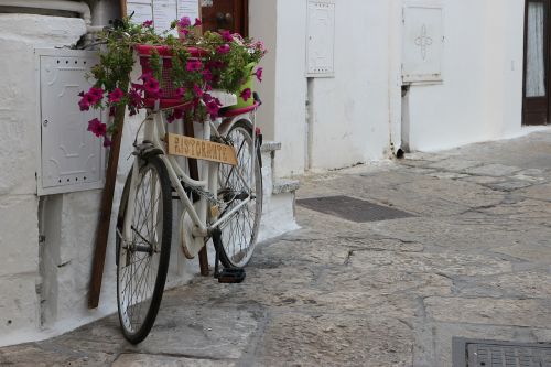 bicycle restaurant flowers
