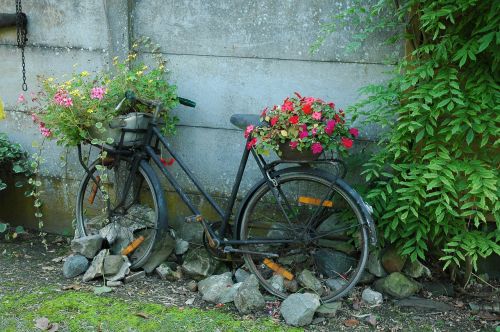 bicycle garden flowers