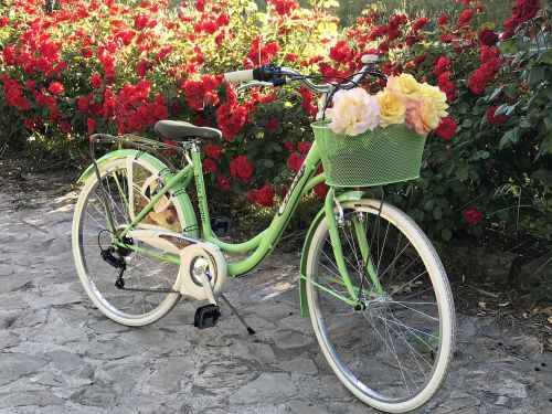 bicycle flowers sport