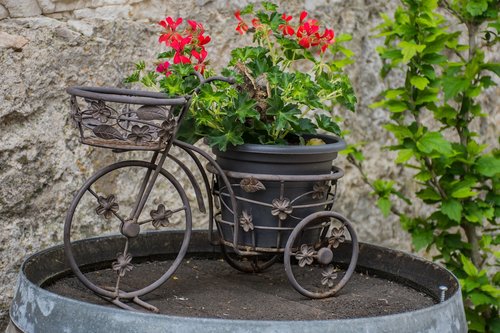 bicycle  flowers  barrel