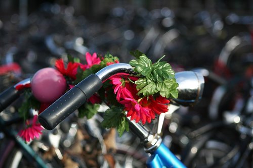 bicycle  send  bicycle handlebar