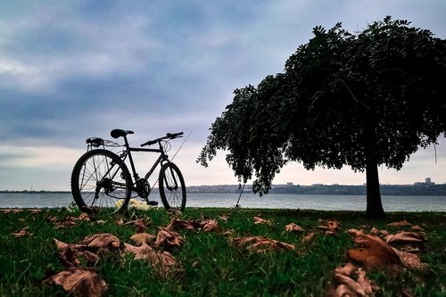 bicycle  travel  nature