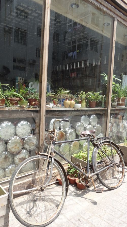 bicycle shop characteristic